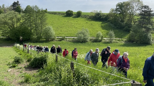 Gruppe von Wandernden, die einen grünen Hang hinaufgehen, umgeben von Bäumen und sanften Hügeln unter blauem Himmel.