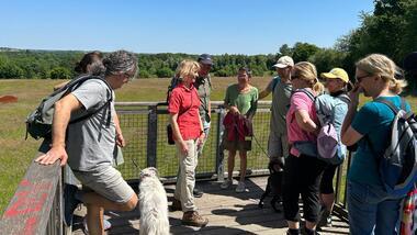 Gruppe von Menschen mit Hunden auf einer Aussichtsplattform in der Natur an einem sonnigen Tag.