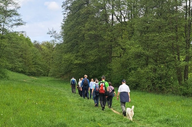 Gruppe von Wanderern mit Hund geht auf einem Pfad durch eine grüne Wiese, umgeben von Bäumen und blauem Himmel.