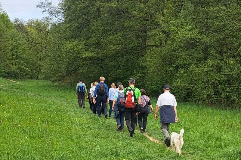 Gruppe von Wanderern mit Hund geht auf einem Pfad durch eine grüne Wiese, umgeben von Bäumen und blauem Himmel.