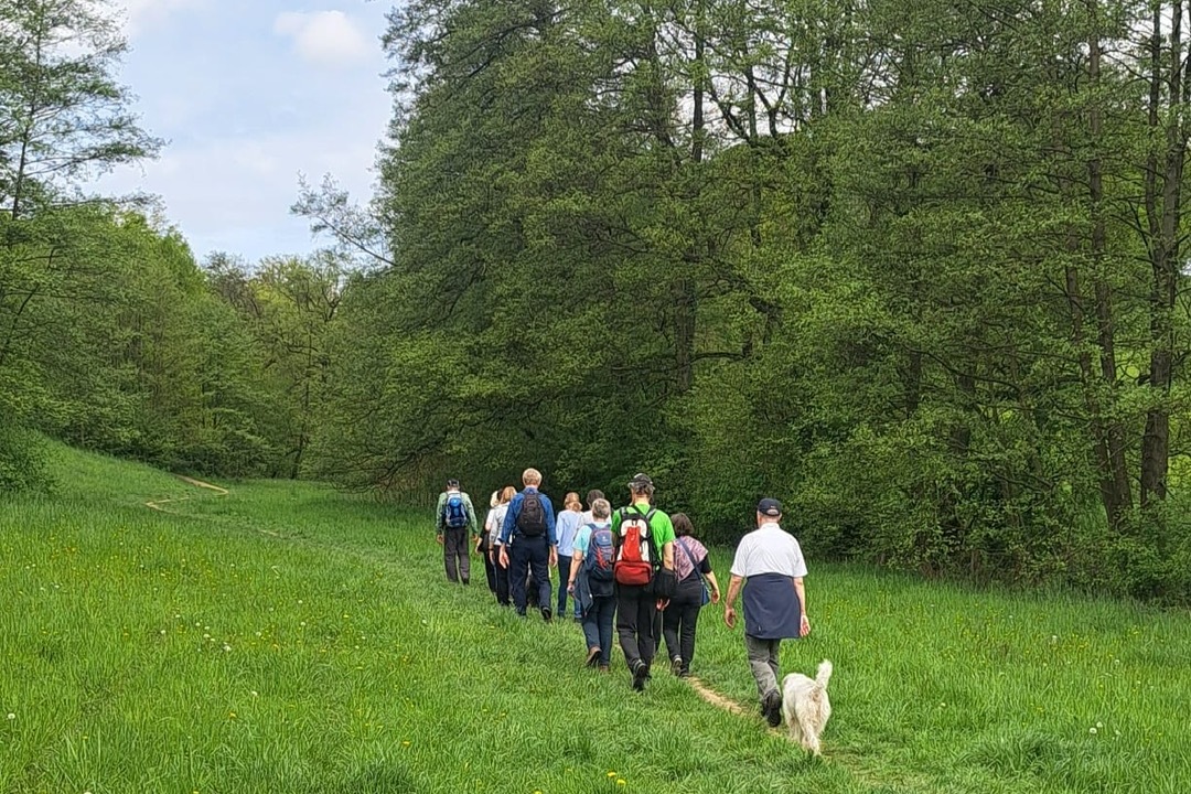 Gruppe von Wanderern mit Hund geht auf einem Pfad durch eine grüne Wiese, umgeben von Bäumen und blauem Himmel.