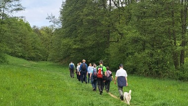 Gruppe von Wanderern mit Hund geht auf einem Pfad durch eine grüne Wiese, umgeben von Bäumen und blauem Himmel.
