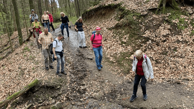 Gruppe von Wanderern überquert einen schmalen Pfad neben einem kleinen Bach in einem Laubwald.