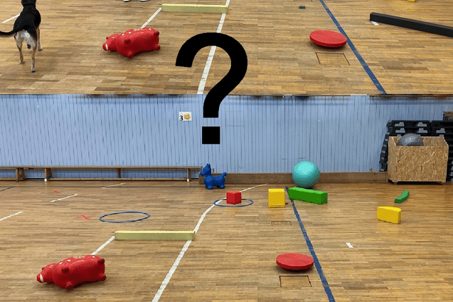 Mann interagiert mit bunten Hindernissen in einer Sporthalle, während ein Hund im Hintergrund beobachtet.