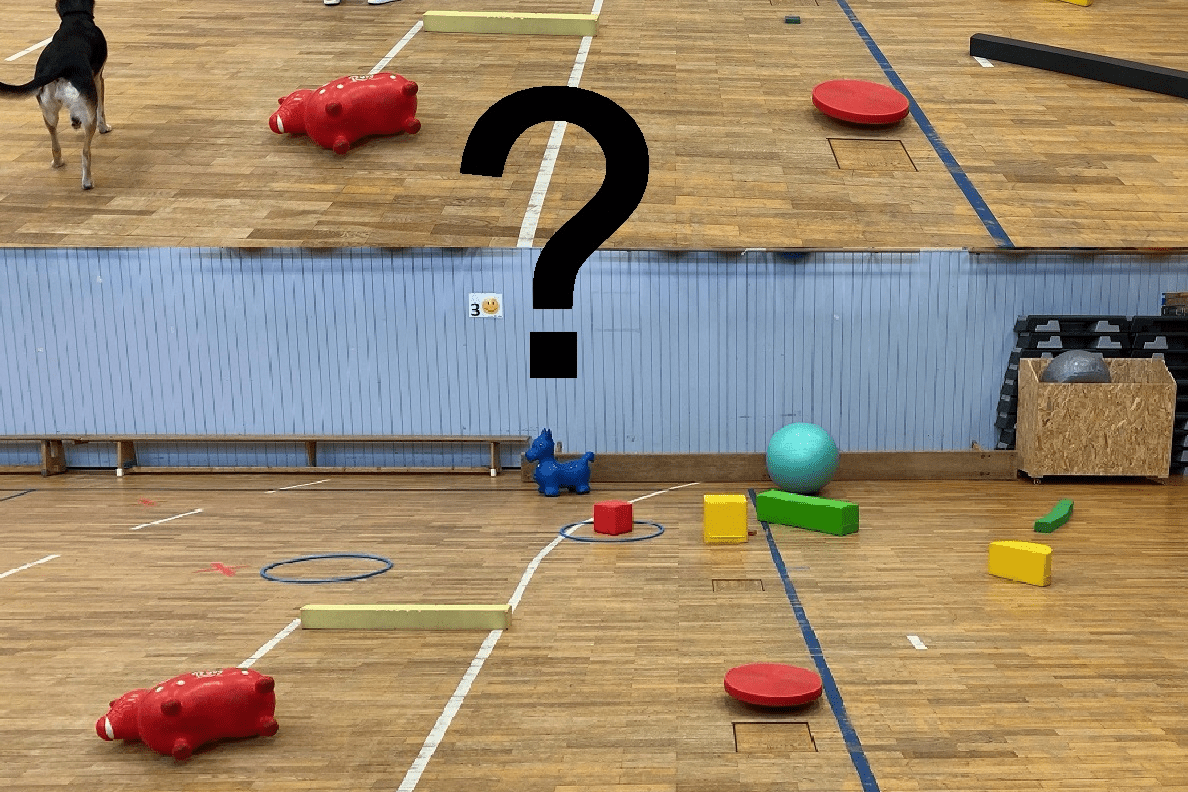 Mann interagiert mit bunten Hindernissen in einer Sporthalle, während ein Hund im Hintergrund beobachtet.