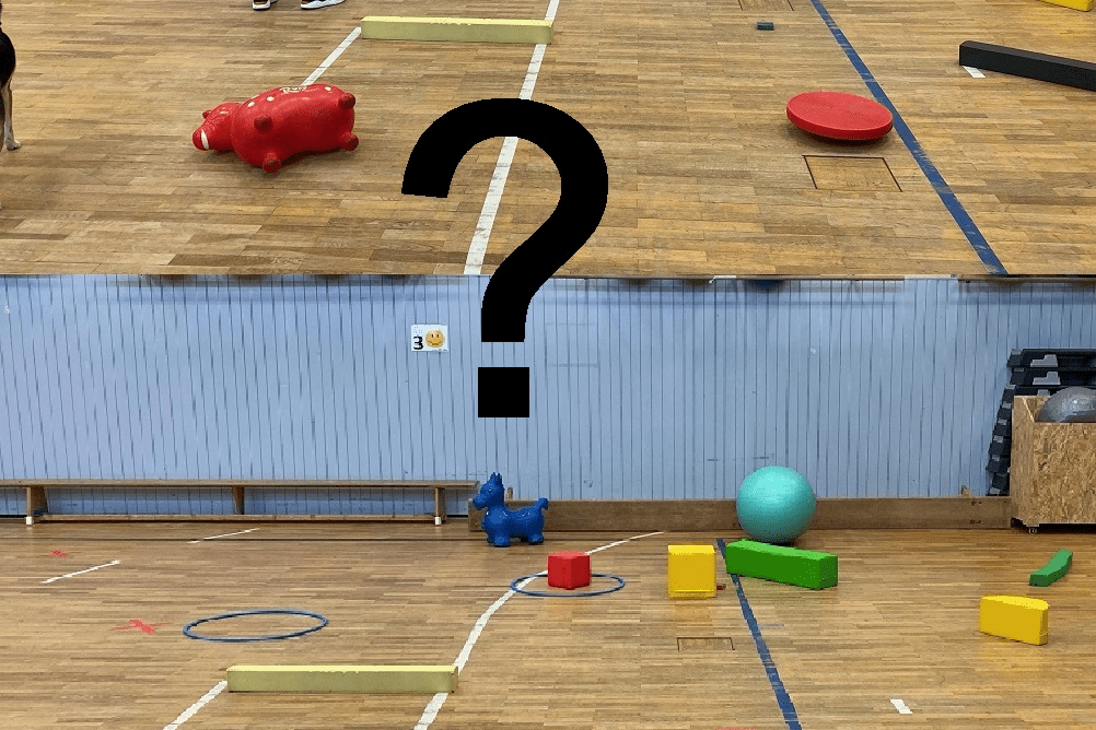 Mann interagiert mit bunten Hindernissen in einer Sporthalle, w&auml;hrend ein Hund im Hintergrund beobachtet.