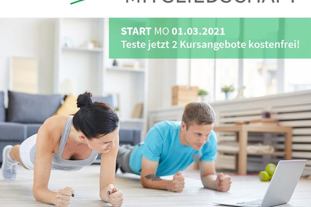 Zwei Personen machen Planks auf einem Holzboden, während ein Laptop vor ihnen steht. Hintergrund mit Wohnzimmereinrichtung.