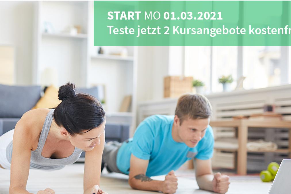 Zwei Personen machen Planks auf einem Holzboden, w&auml;hrend ein Laptop vor ihnen steht. Hintergrund mit Wohnzimmereinrichtung.