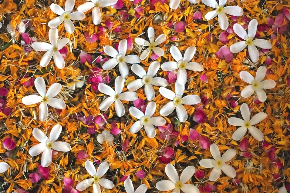 Runde Schale mit bunten Blütenblättern und weißen Blüten auf einer hellen Oberfläche, Füße mit Flip-Flops im Vordergrund.