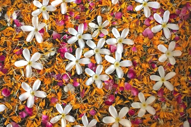 Runde Schale mit bunten Blütenblättern und weißen Blüten auf einer hellen Oberfläche, Füße mit Flip-Flops im Vordergrund.