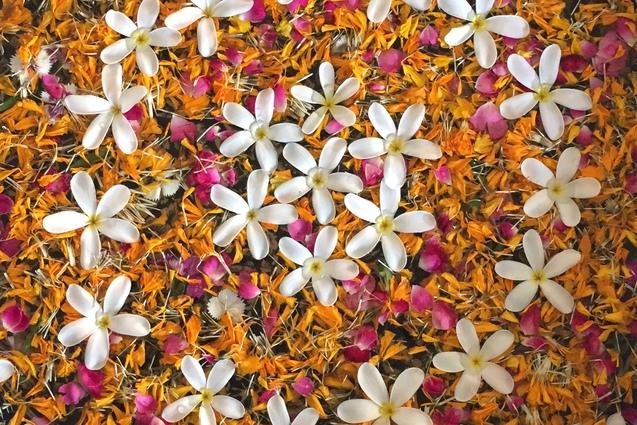 Runde Schale mit bunten Blütenblättern und weißen Blüten auf einer hellen Oberfläche, Füße mit Flip-Flops im Vordergrund.