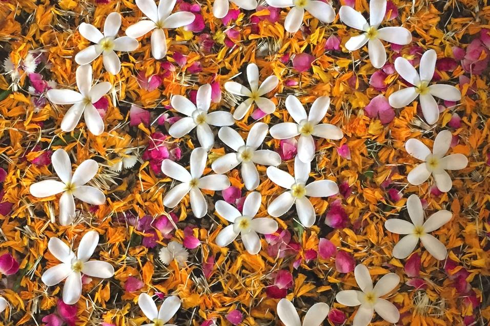 Runde Schale mit bunten Blütenblättern und weißen Blüten auf einer hellen Oberfläche, Füße mit Flip-Flops im Vordergrund.