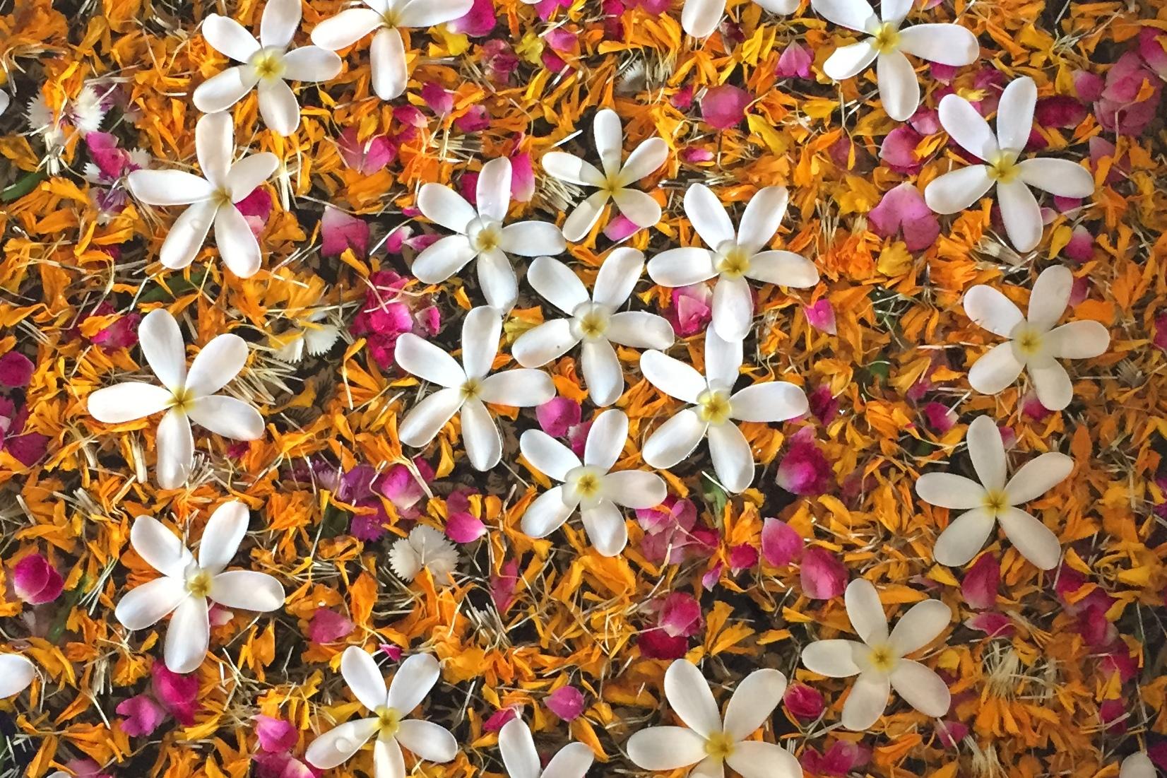 Runde Schale mit bunten Blütenblättern und weißen Blüten auf einer hellen Oberfläche, Füße mit Flip-Flops im Vordergrund.