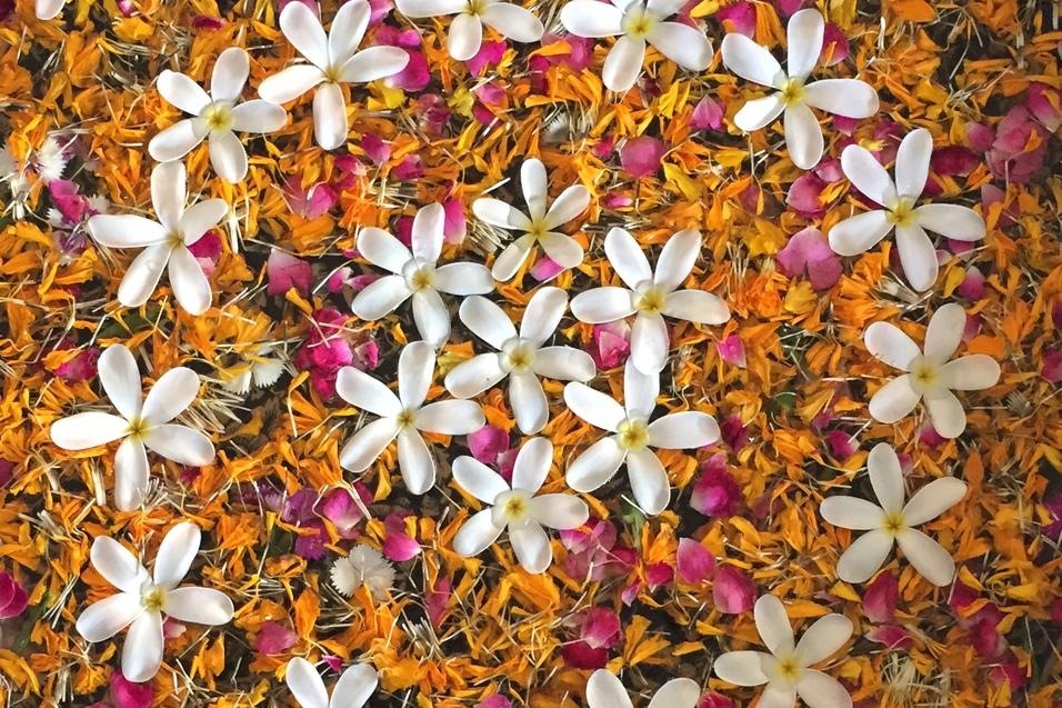 Runde Schale mit bunten Blütenblättern und weißen Blüten auf einer hellen Oberfläche, Füße mit Flip-Flops im Vordergrund.