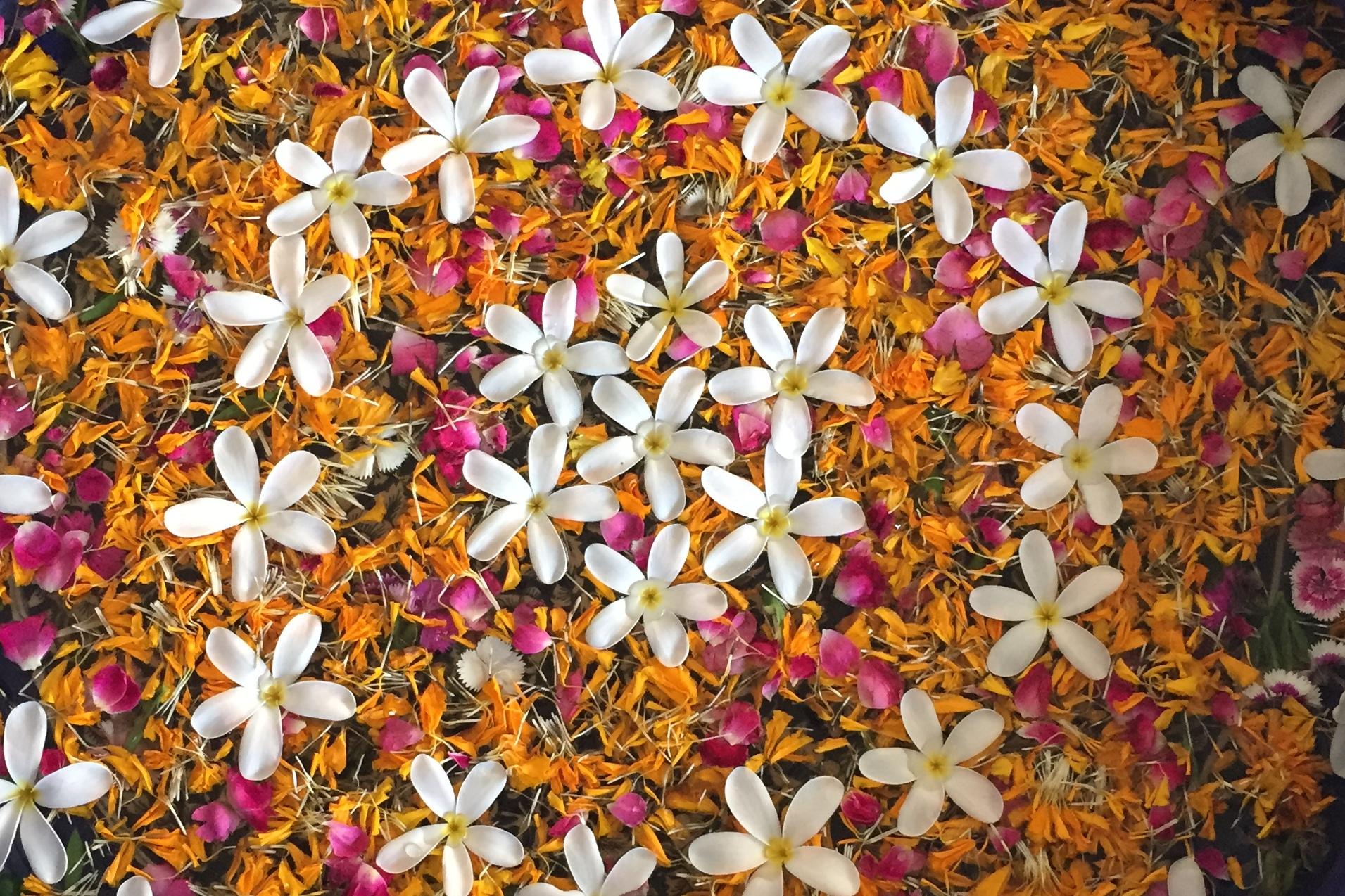 Runde Schale mit bunten Blütenblättern und weißen Blüten auf einer hellen Oberfläche, Füße mit Flip-Flops im Vordergrund.