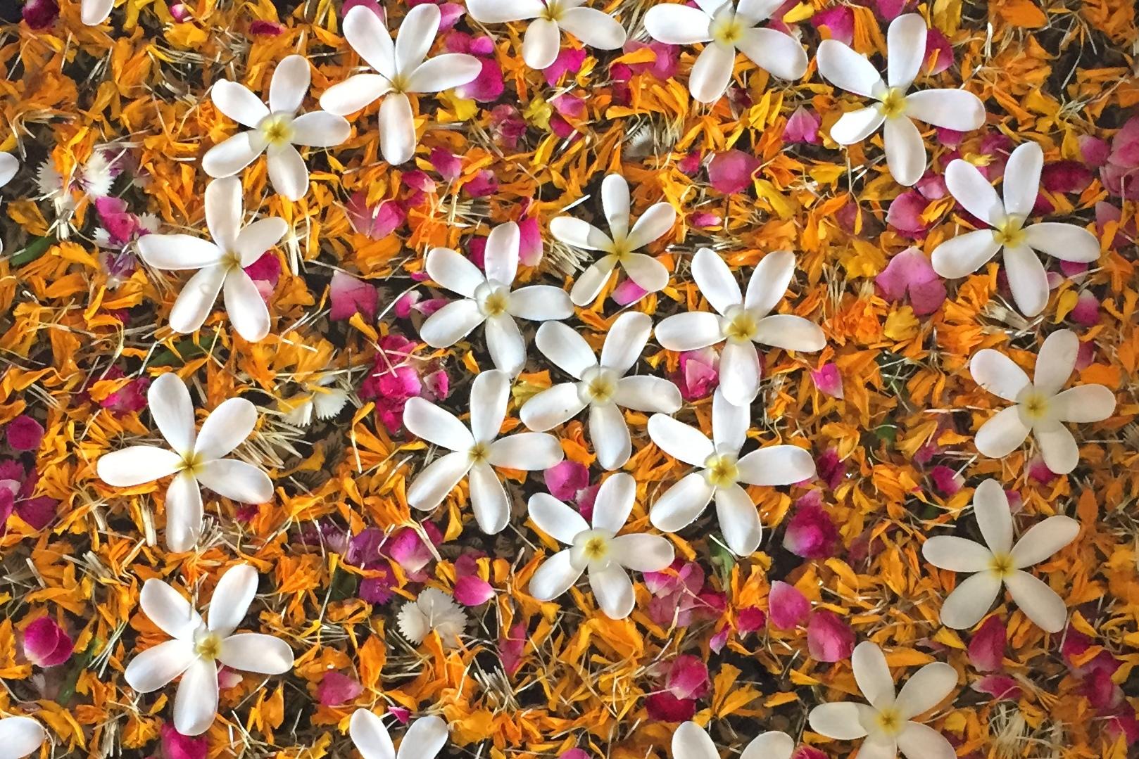 Runde Schale mit bunten Blütenblättern und weißen Blüten auf einer hellen Oberfläche, Füße mit Flip-Flops im Vordergrund.