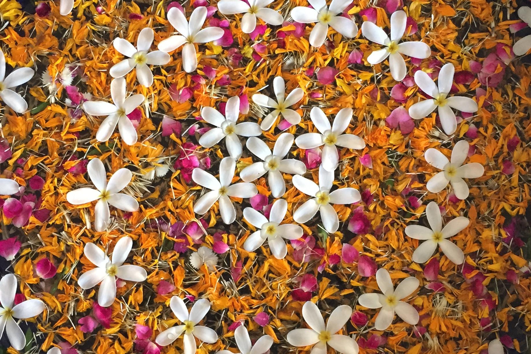 Runde Schale mit bunten Blütenblättern und weißen Blüten auf einer hellen Oberfläche, Füße mit Flip-Flops im Vordergrund.