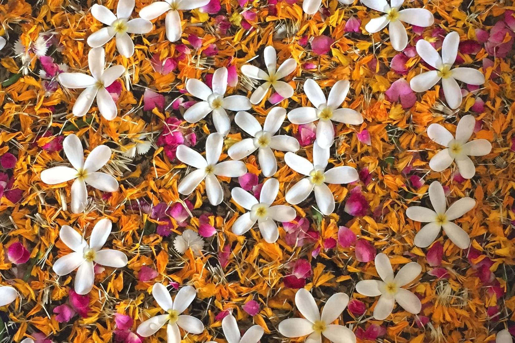 Runde Schale mit bunten Blütenblättern und weißen Blüten auf einer hellen Oberfläche, Füße mit Flip-Flops im Vordergrund.