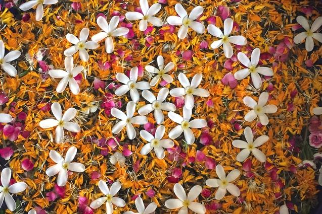 Runde Schale mit bunten Blütenblättern und weißen Blüten auf einer hellen Oberfläche, Füße mit Flip-Flops im Vordergrund.