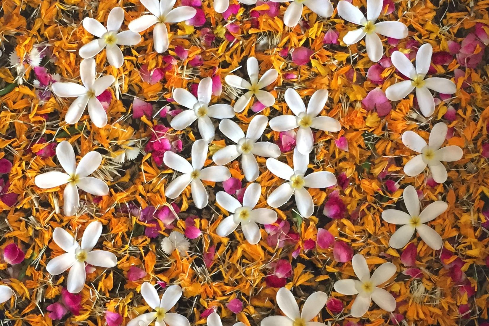 Runde Schale mit bunten Blütenblättern und weißen Blüten auf einer hellen Oberfläche, Füße mit Flip-Flops im Vordergrund.