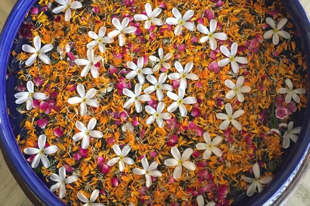 Runde Schale mit bunten Blütenblättern und weißen Blüten auf einer hellen Oberfläche, Füße mit Flip-Flops im Vordergrund.