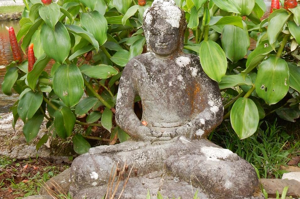 Steinene Buddha-Figur im Hintergrund von blühenden Pflanzen vor einem japanischen Gebäude in einer Gartenlandschaft.