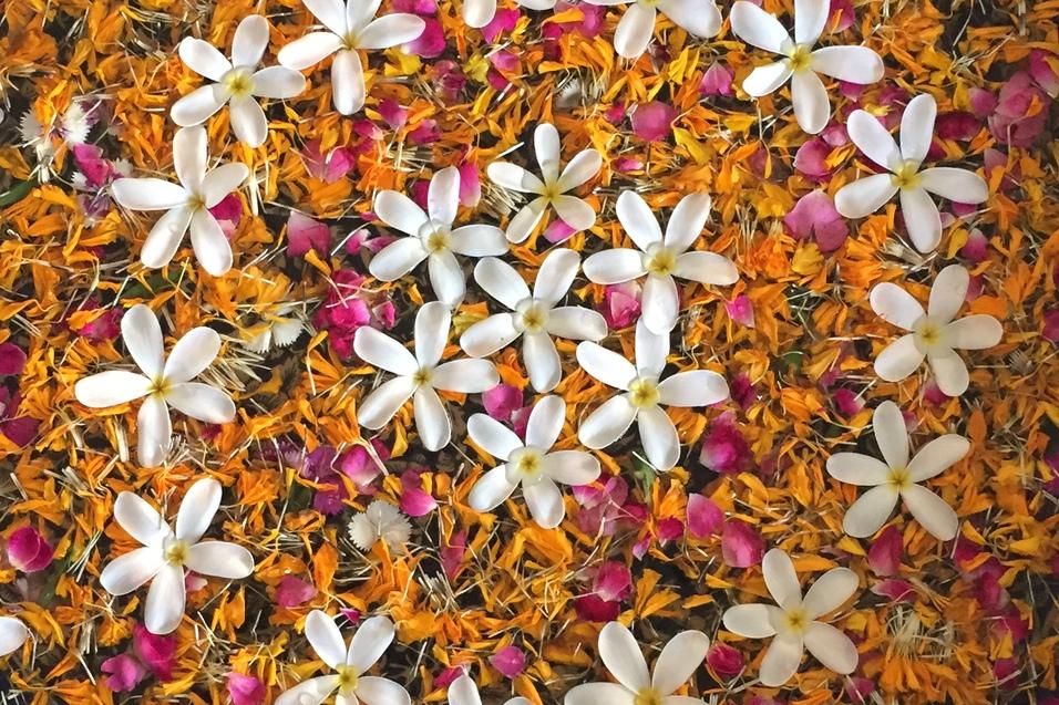 Runde Schale mit bunten Blütenblättern und weißen Blüten auf einer hellen Oberfläche, Füße mit Flip-Flops im Vordergrund.