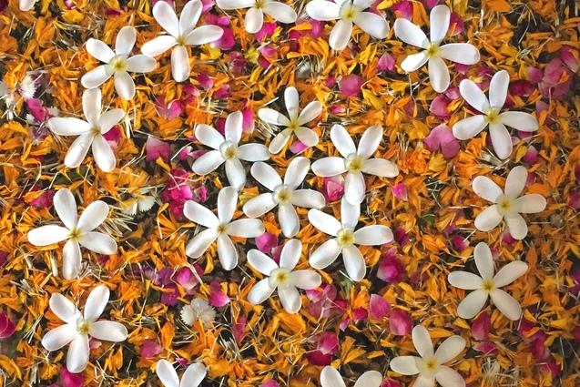 Runde Schale mit bunten Bl&uuml;tenbl&auml;ttern und wei&szlig;en Bl&uuml;ten auf einer hellen Oberfl&auml;che, F&uuml;&szlig;e mit Flip-Flops im Vordergrund.