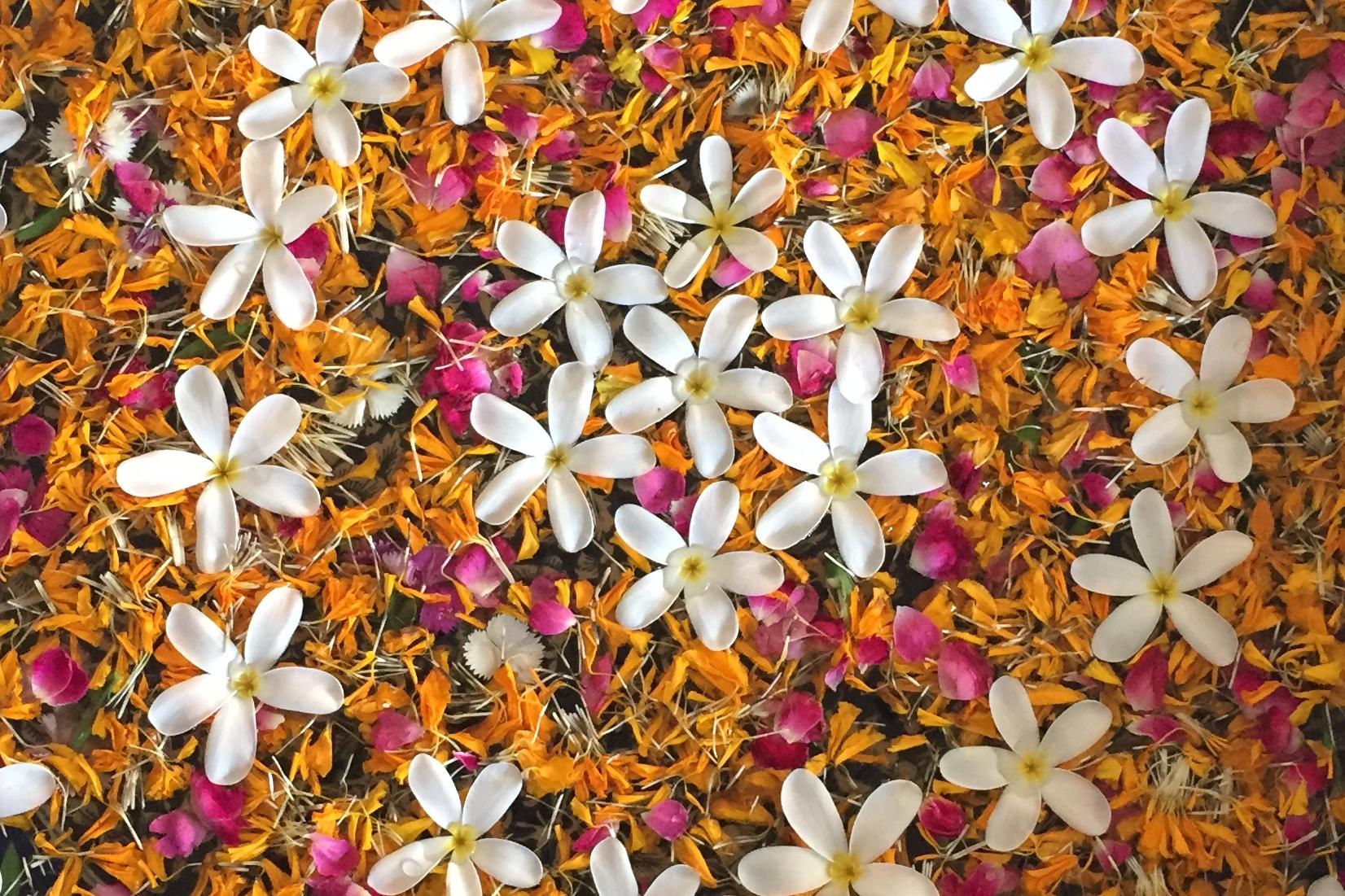 Runde Schale mit bunten Blütenblättern und weißen Blüten auf einer hellen Oberfläche, Füße mit Flip-Flops im Vordergrund.