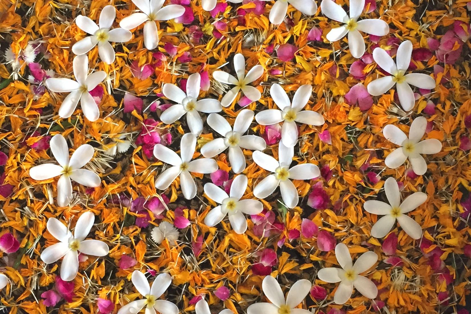 Runde Schale mit bunten Blütenblättern und weißen Blüten auf einer hellen Oberfläche, Füße mit Flip-Flops im Vordergrund.