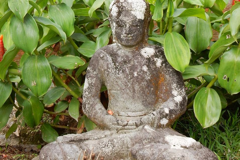 Steinene Buddha-Figur im Hintergrund von blühenden Pflanzen vor einem japanischen Gebäude in einer Gartenlandschaft.