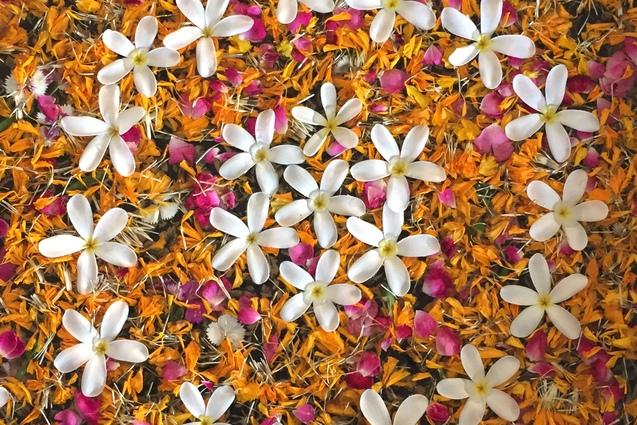 Runde Schale mit bunten Bl&uuml;tenbl&auml;ttern und wei&szlig;en Bl&uuml;ten auf einer hellen Oberfl&auml;che, F&uuml;&szlig;e mit Flip-Flops im Vordergrund.