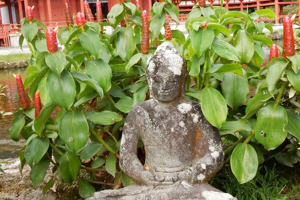 Steinene Buddha-Figur im Hintergrund von blühenden Pflanzen vor einem japanischen Gebäude in einer Gartenlandschaft.