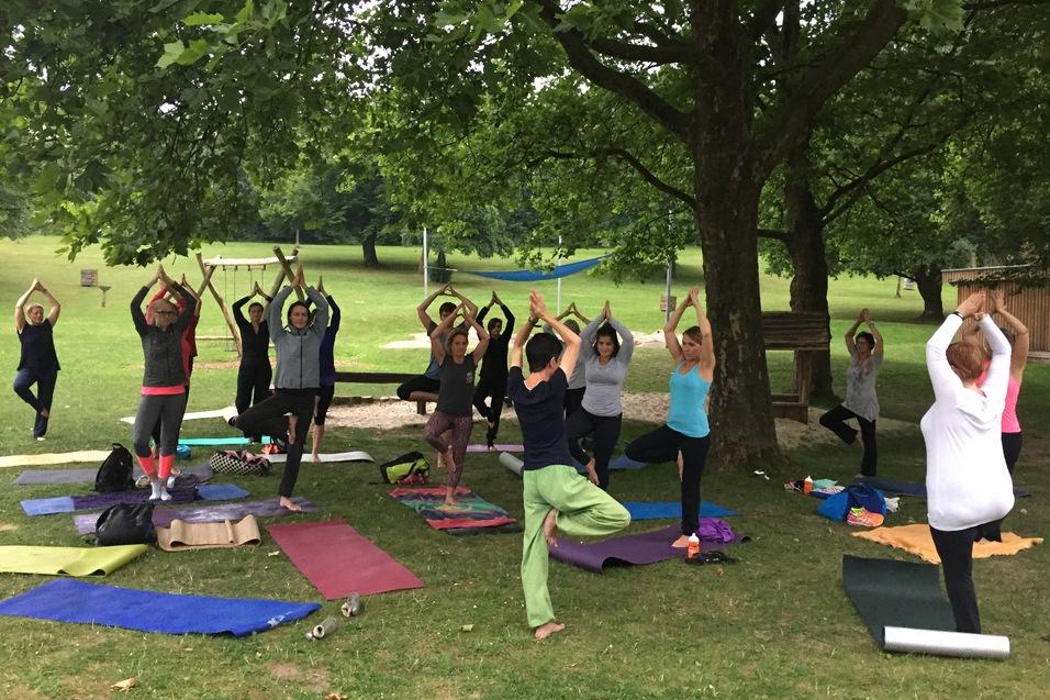 Gruppe von Yogateilnehmern in verschiedenen Posen auf Yoga-Matten unter einem Baum auf einem grünen Rasen.
