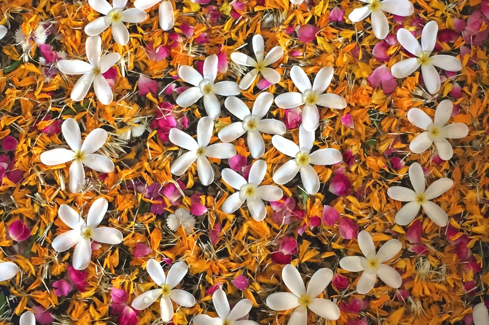 Runde Schale mit bunten Blütenblättern und weißen Blüten auf einer hellen Oberfläche, Füße mit Flip-Flops im Vordergrund.