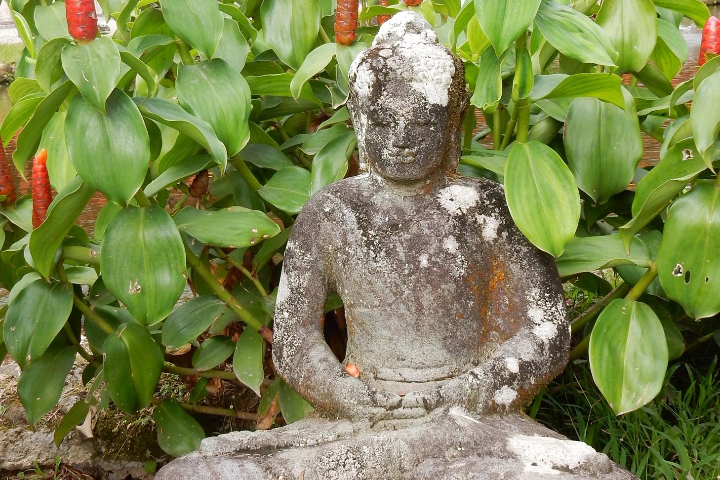 Steinene Buddha-Figur im Hintergrund von blühenden Pflanzen vor einem japanischen Gebäude in einer Gartenlandschaft.