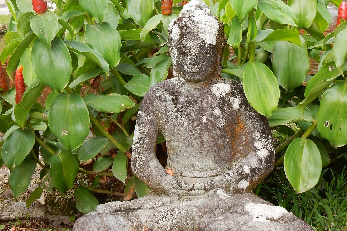 Steinene Buddha-Figur im Hintergrund von blühenden Pflanzen vor einem japanischen Gebäude in einer Gartenlandschaft.