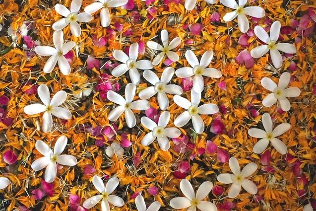 Runde Schale mit bunten Bl&uuml;tenbl&auml;ttern und wei&szlig;en Bl&uuml;ten auf einer hellen Oberfl&auml;che, F&uuml;&szlig;e mit Flip-Flops im Vordergrund.