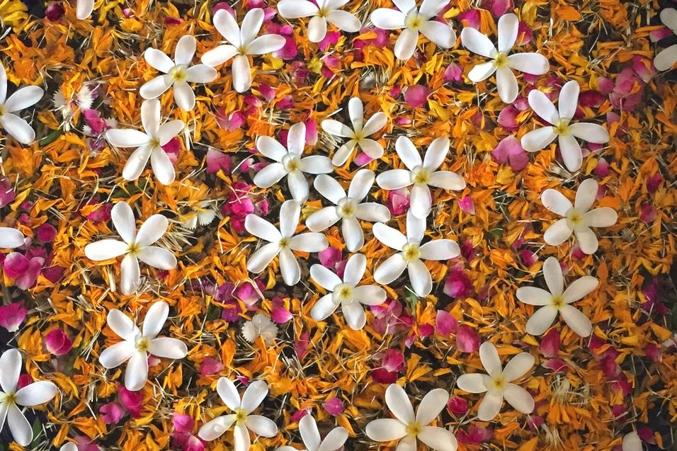 Runde Schale mit bunten Blütenblättern und weißen Blüten auf einer hellen Oberfläche, Füße mit Flip-Flops im Vordergrund.