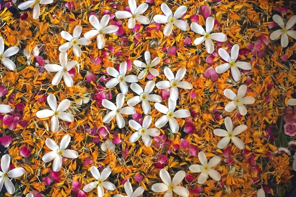 Runde Schale mit bunten Blütenblättern und weißen Blüten auf einer hellen Oberfläche, Füße mit Flip-Flops im Vordergrund.