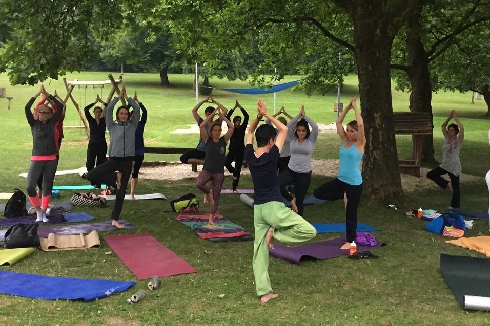 Gruppe von Yogateilnehmern in verschiedenen Posen auf Yoga-Matten unter einem Baum auf einem grünen Rasen.